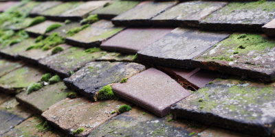 Llanfugail roof repair costs